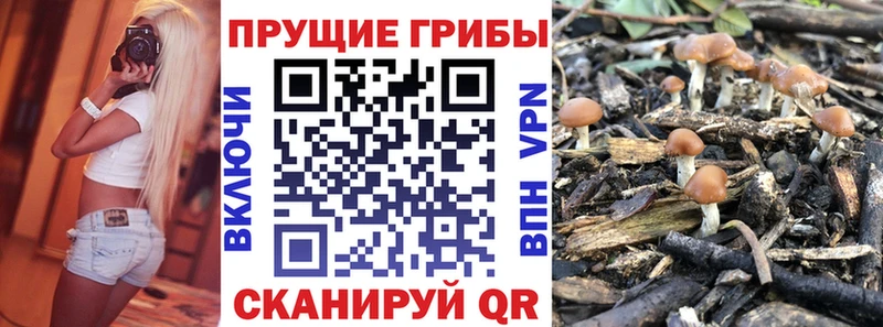 Псилоцибиновые грибы GOLDEN TEACHER Купить где Лесозаводск